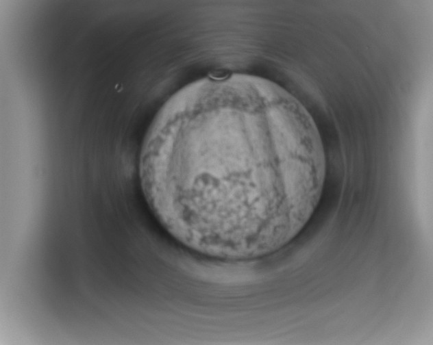 X0000113740032200910071055