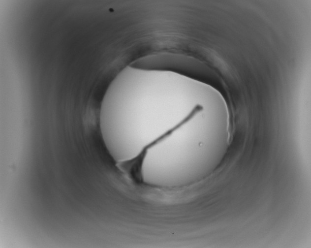 X0000113740033200910071055