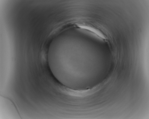 X0000113740035200910071055