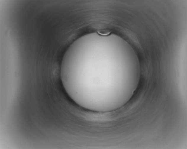 X0000113740036200910071055