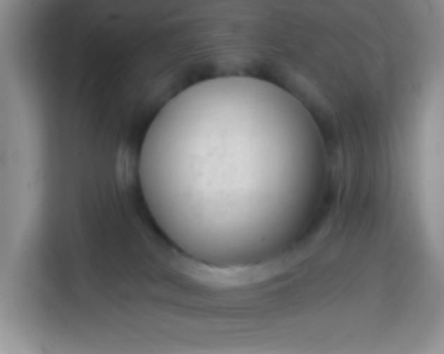 X0000113740038200910071055