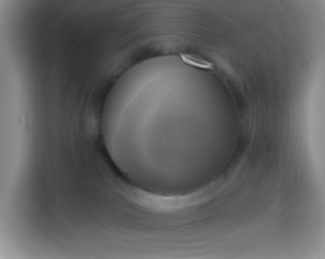 X0000113740039200910071055