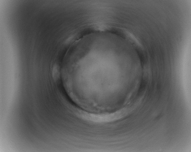 X0000113740043200910071055