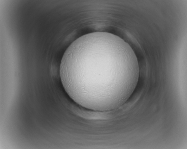 X0000113740044200910071055