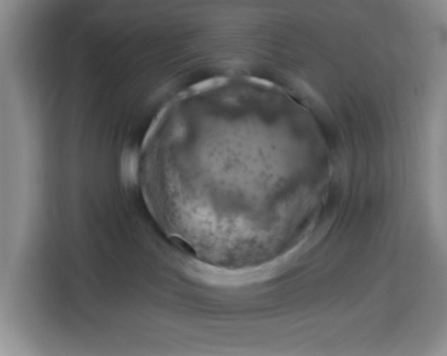 X0000113740047200910071055