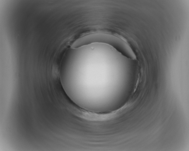 X0000113740048200910071054