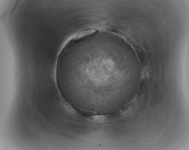 X0000113740052200910071054