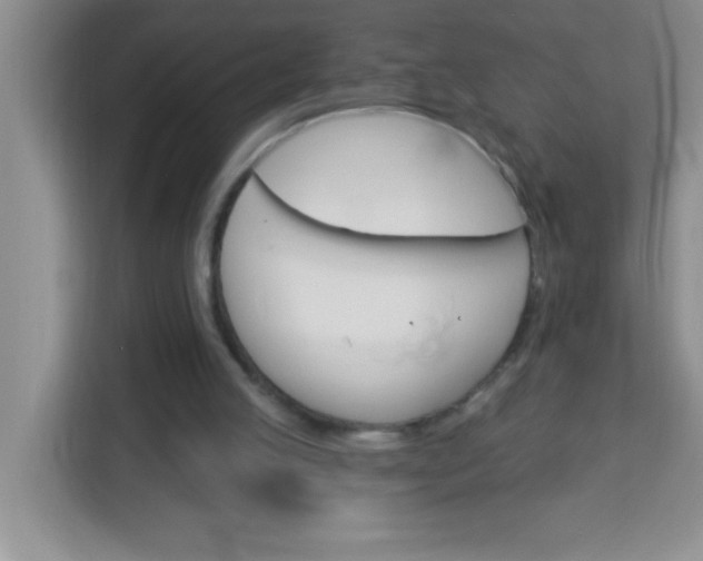 X0000113740053200910071054