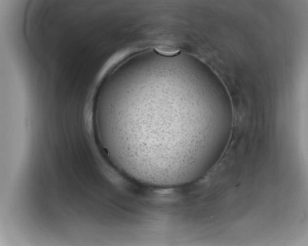 X0000113740054200910071054