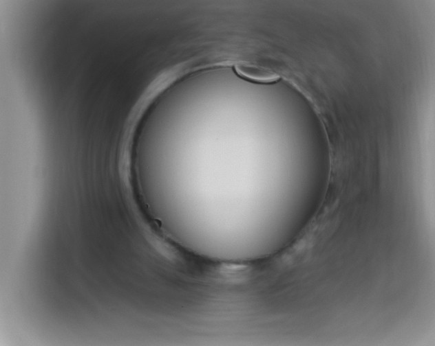 X0000113740055200910071054