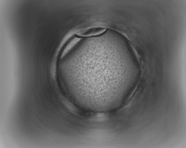 X0000113740056200910071054