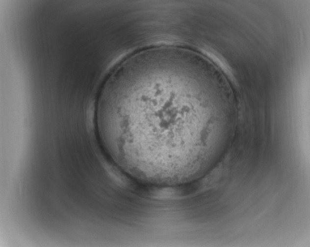 X0000113740058200910071054