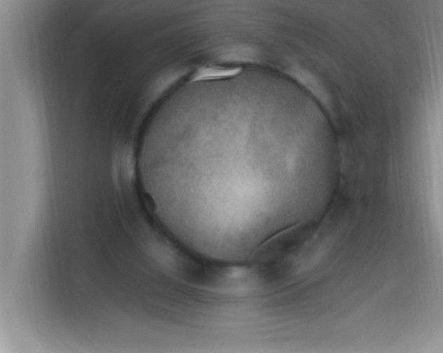 X0000113740060200910071054