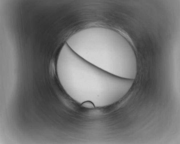 X0000113740061200910071054