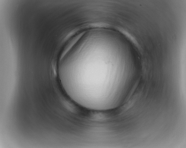 X0000113740062200910071054