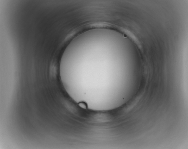 X0000113740063200910071054