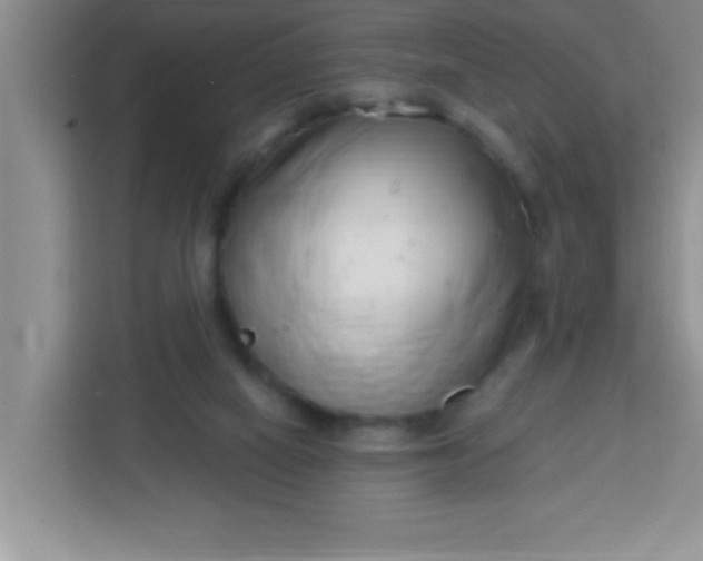 X0000113740066200910071054