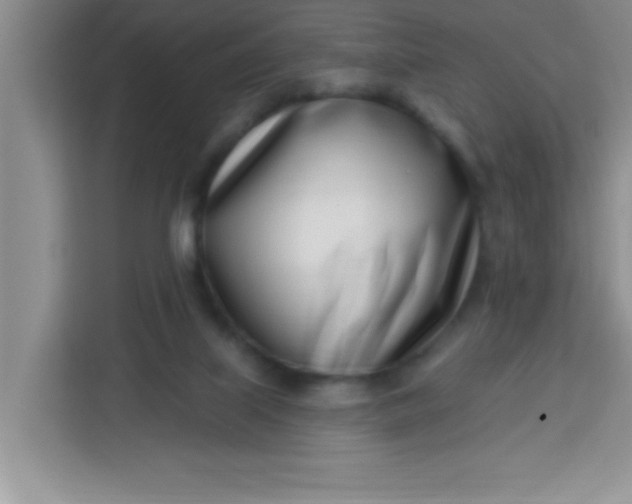 X0000113740067200910071054