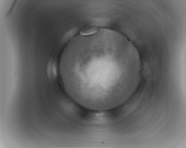 X0000113740068200910071054