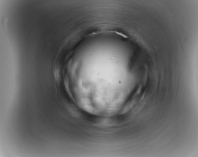 X0000113740074200910071054