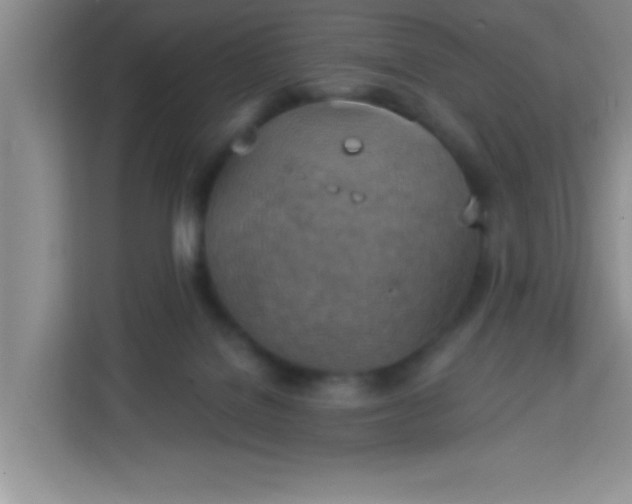 X0000113740076200910071054