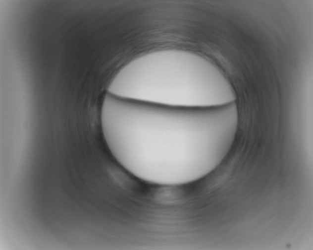 X0000113740077200910071054