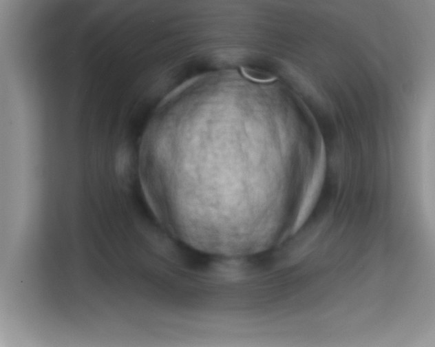 X0000113740079200910071054