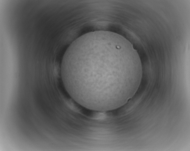 X0000113740083200910071054