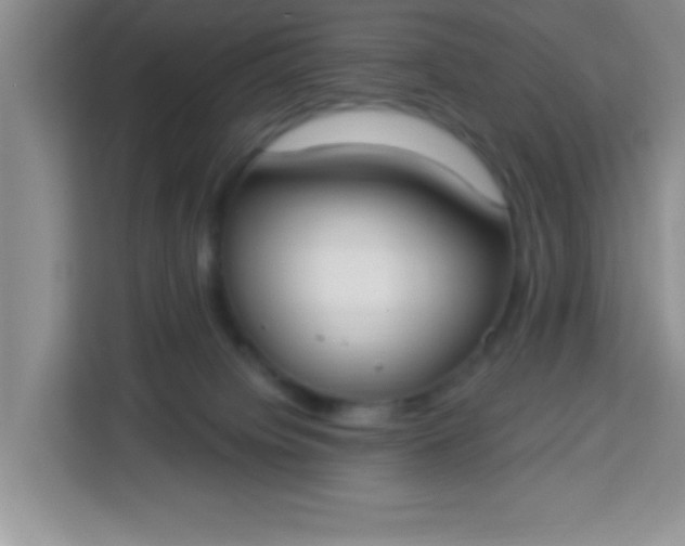 X0000113740084200910071054