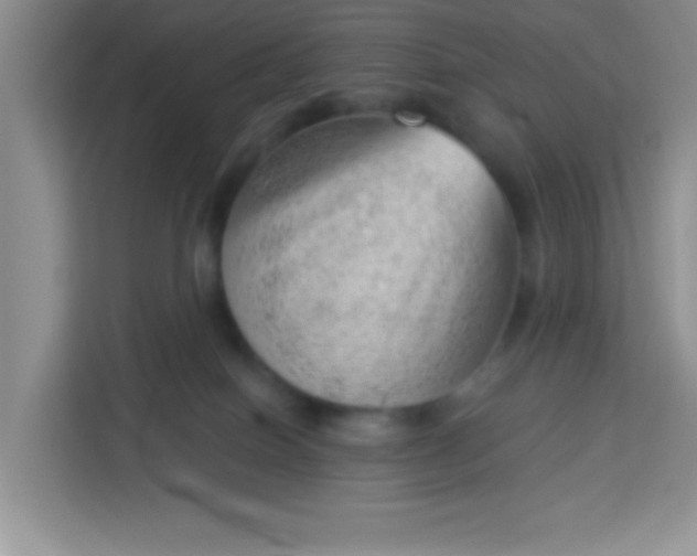 X0000113740086200910071054