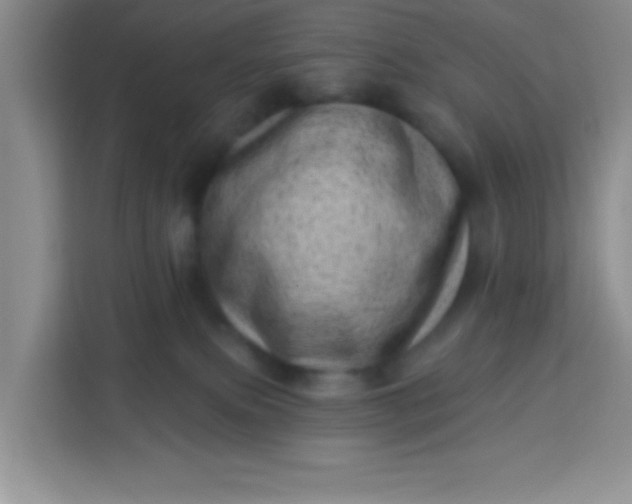 X0000113740087200910071054