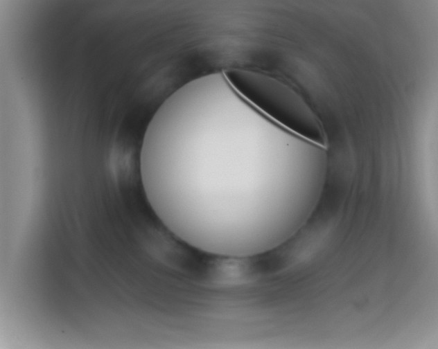 X0000113740088200910071054