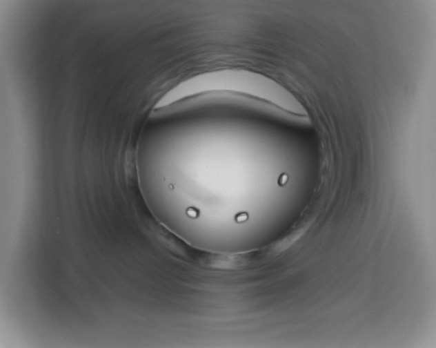 X0000113740096200910071054