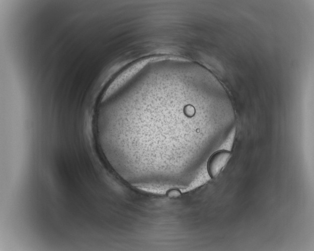 X0000113740098200910071054