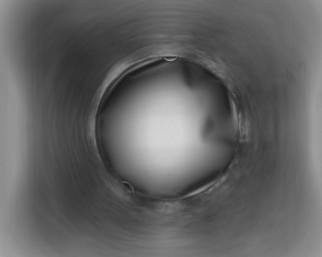 X0000113740099200910071054