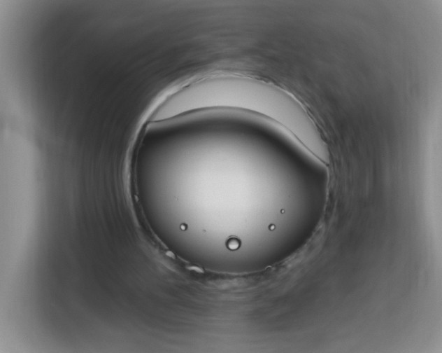 X0000113740100200910071054