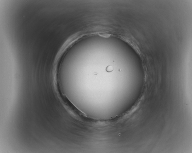 X0000113740101200910071054