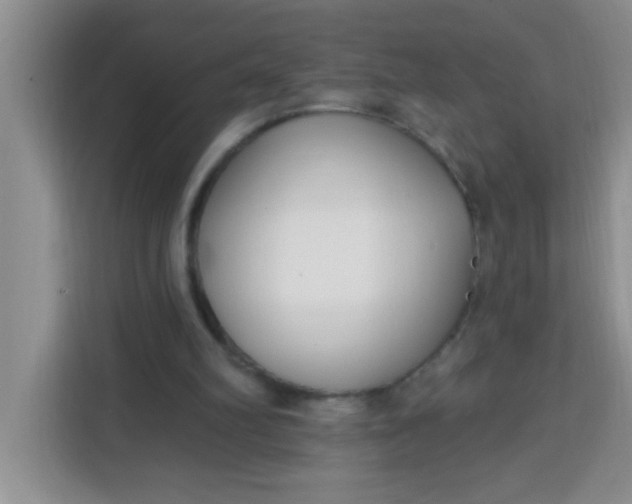 X0000113740102200910071054