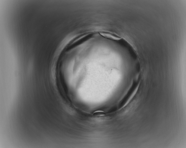 X0000113740103200910071054