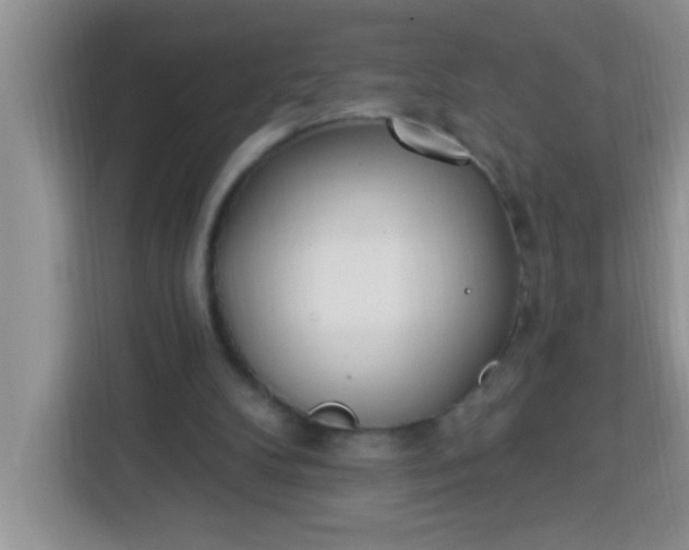 X0000113740104200910071054