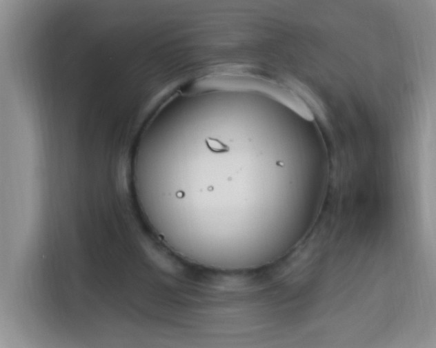 X0000113740107200910071054