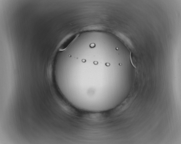 X0000113740108200910071054