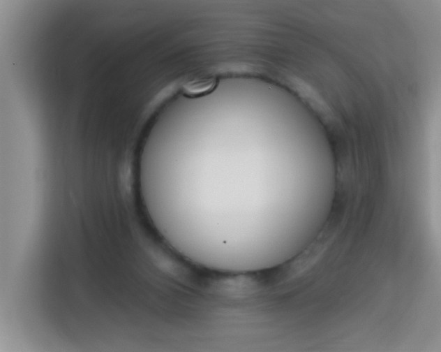 X0000113740112200910071054