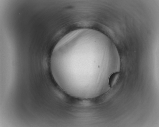 X0000113740114200910071054