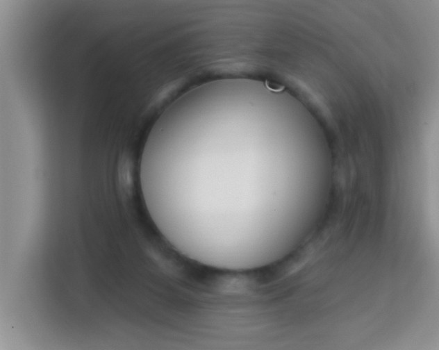 X0000113740115200910071054