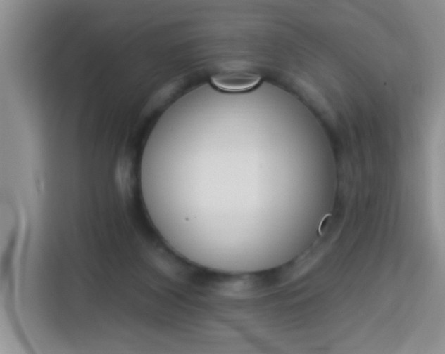 X0000113740116200910071054