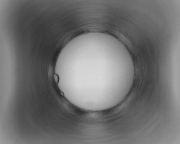 X0000113740117200910071054