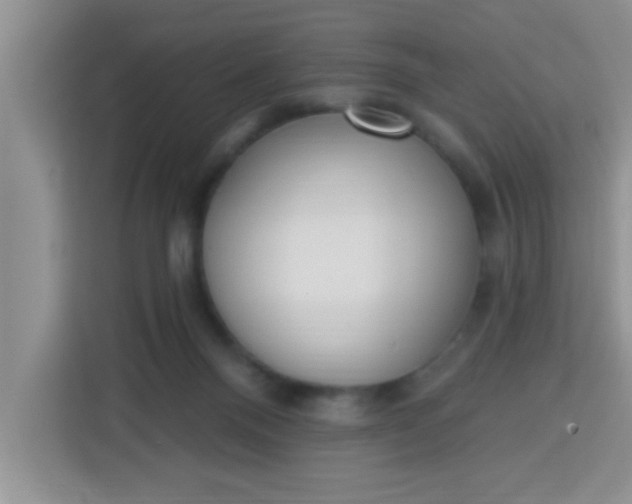 X0000113740120200910071054