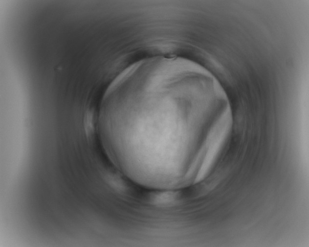 X0000113740122200910071054