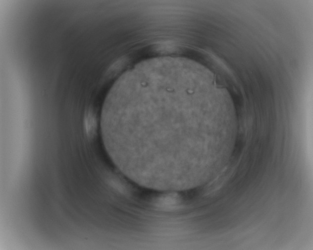 X0000113740124200910071054